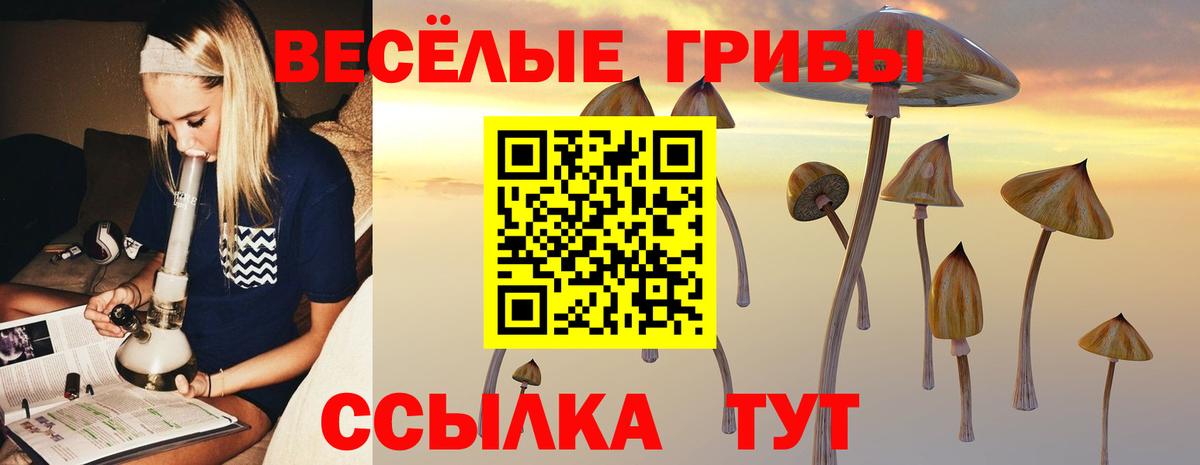 Псилоцибиновые грибы мухоморы  Псилоцибиновые грибы прущие грибы  Алушта  Вход с VPN 
